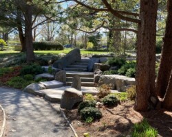 Stone Stairway at Willow Pond Stone Stairway at Willow Pond