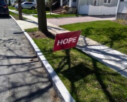 Early Days of the Pandemic Early Days of the Pandemic